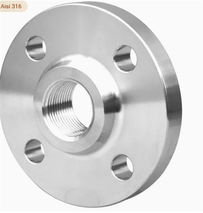 304 316 316L AISI 150 RF FM BSP NPT থ্রেডেড স্ক্রু ফ্ল্যাঞ্জ
